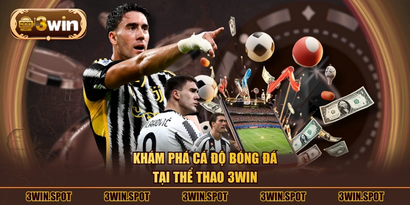 Khám phá cá độ bóng đá tại thể thao 3WIN