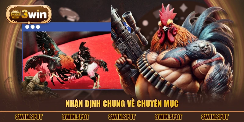 Nhận định chung về chuyên mục